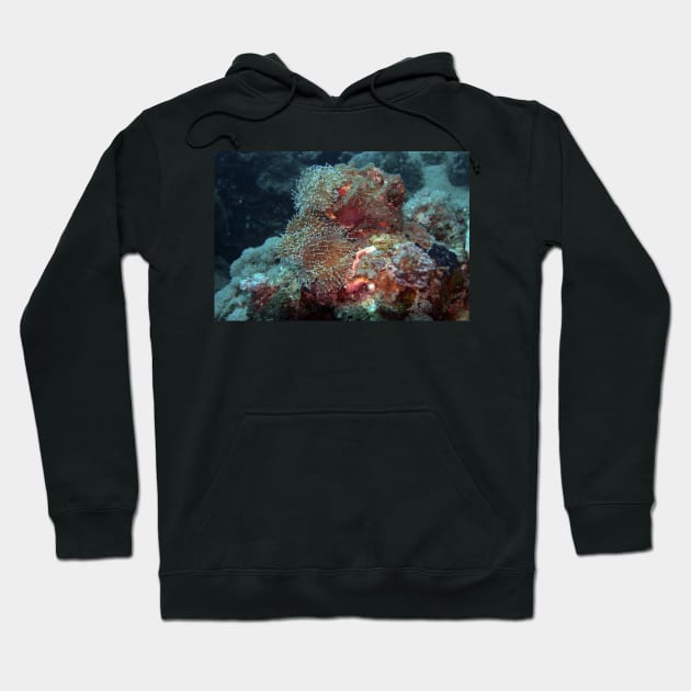 coral reef in the ocean Hoodie by likbatonboot